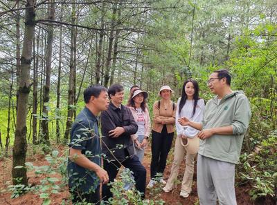 嵩明县科技服务赋能集体林权改革，初级农产品销售迎发展新机遇