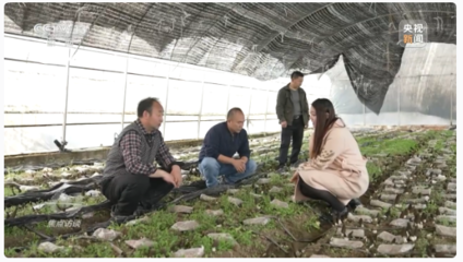 打通最后一公里 电商如何为初级农产品销售跑出兴农“加速度”