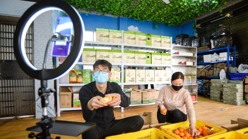 郴州农产品销售新模式 从田间到餐桌的绿色通道