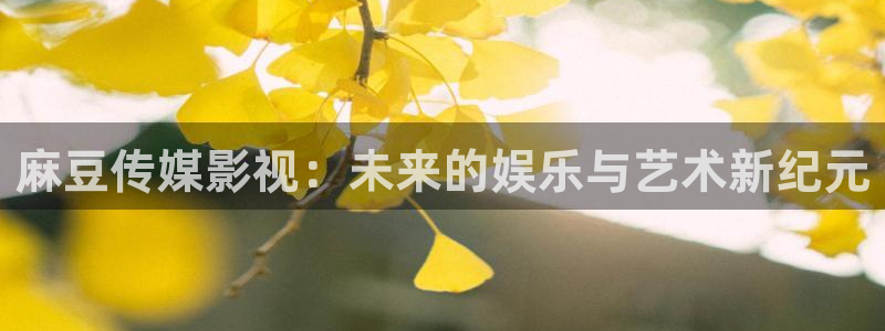 金牌影院看电视剧免费吗：麻豆传媒影视：未来的娱乐与艺术新纪元