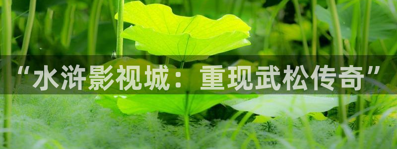 金牌女王电影免费完整版中文：“水浒影视城：重现武松传奇”