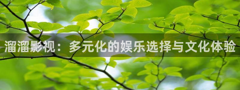 金牌影视剧大全：溜溜影视：多元化的娱乐选择与文化体验