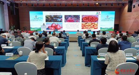 第三届鲁企走进甘肃•2023陇南投资洽谈会 特色农产品加工产业合作对接会助力初级农产品销售升级