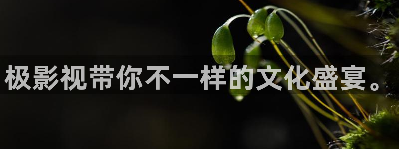 金牌影视官方入口在线观看：极影视带你不一样的文化盛宴。