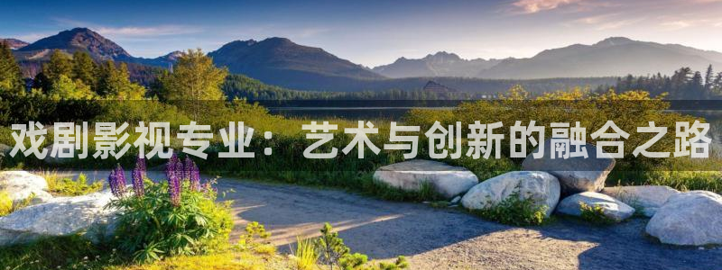 金牌影院电视剧免费播放在线观看：戏剧影视专业：艺术与创新的融合之路