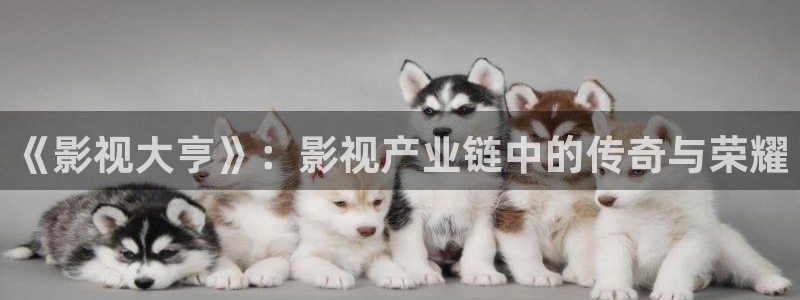 金牌影院2024全集免费观看：《影视大亨》：影视产业链中的传奇与荣耀