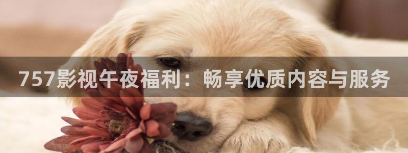 现在就出发第二季免费观看完整版金牌影院：757影视午夜福利：畅享优质内容与服务