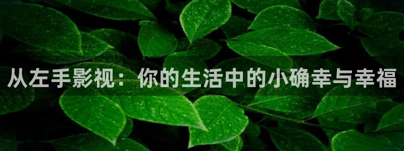 金牌影视下载安装最新版：从左手影视：你的生活中的小确幸与幸福