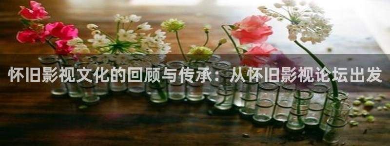 金牌影院电视剧：怀旧影视文化的回顾与传承：从怀旧影视论坛出发