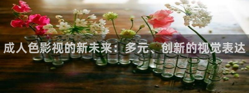 金牌荣耀韩国电影：成人色影视的新未来：多元、创新的视觉表达